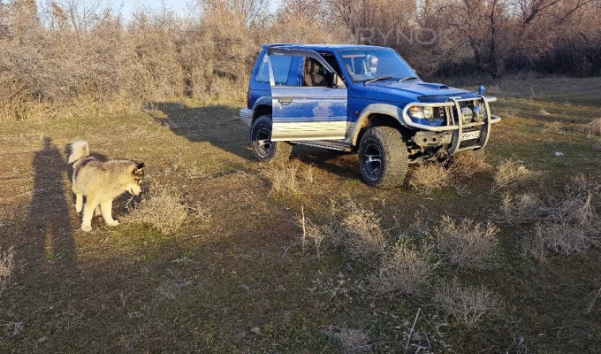 Mitsubishi Pajero 1996 года