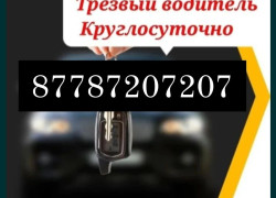 Трезвый Водитель