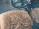 ЗАЗ Chance 2013 года