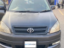 Toyota Ipsum 2001 года