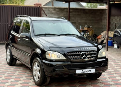 Mercedes-Benz ML-Класс 2003 года