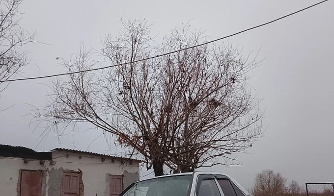 Mercedes-Benz 190 1991 года