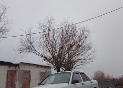 Mercedes-Benz 190 1991 года