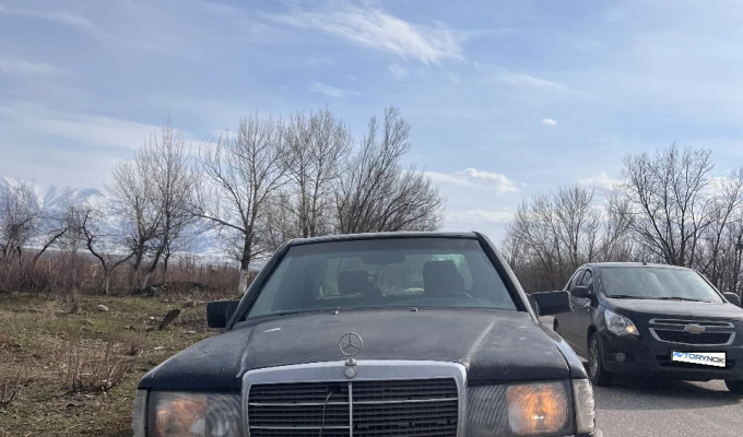 Mercedes-Benz 190 1992 года