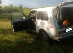 ВАЗ (Lada) 2121 (4x4) 1993 года