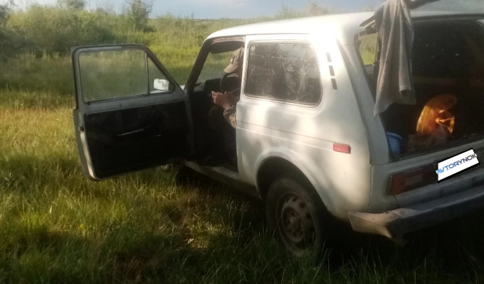 ВАЗ (Lada) 2121 (4x4) 1993 года