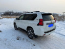 Toyota Land Cruiser Prado 2022 года