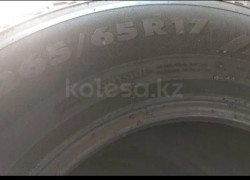 Nokian