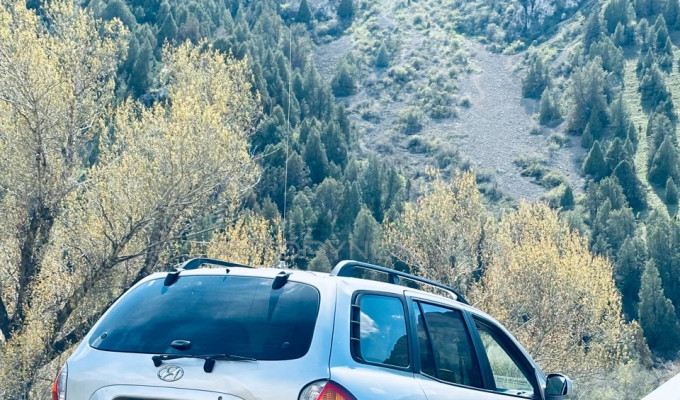 Hyundai Santa Fe 2002 года