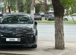 Toyota Corolla 2020 года