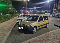Peugeot Partner 2007 года