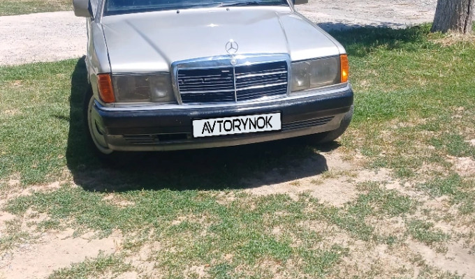 Mercedes-Benz 190 1991 года