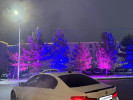 BMW 5 серия 2019 года