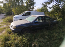 Nissan Primera 1994 года