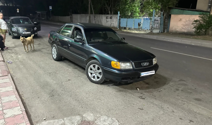 Audi 100 1993 года