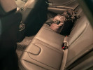 Hyundai Elantra 2024 года