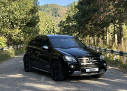 Mercedes-Benz ML-Класс 2009 года