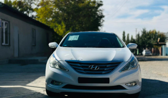 Hyundai Sonata 2010 года