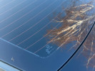 Hyundai Elantra 2023 года