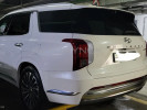 Hyundai Palisade 2023 года