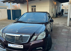 Mercedes-Benz E-Класс 2009 года