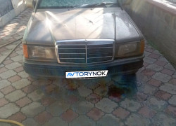Mercedes-Benz 190 1989 года