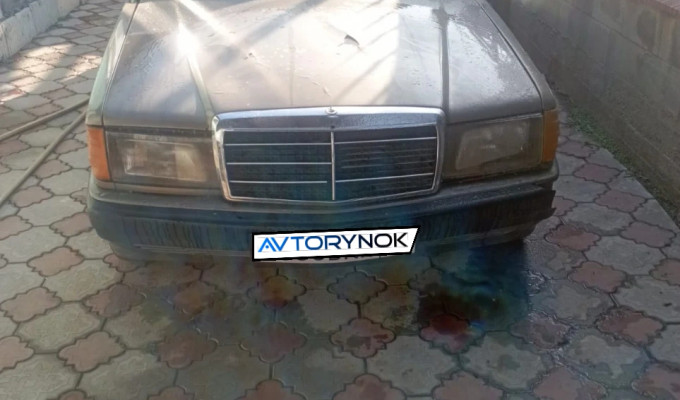 Mercedes-Benz 190 1989 года