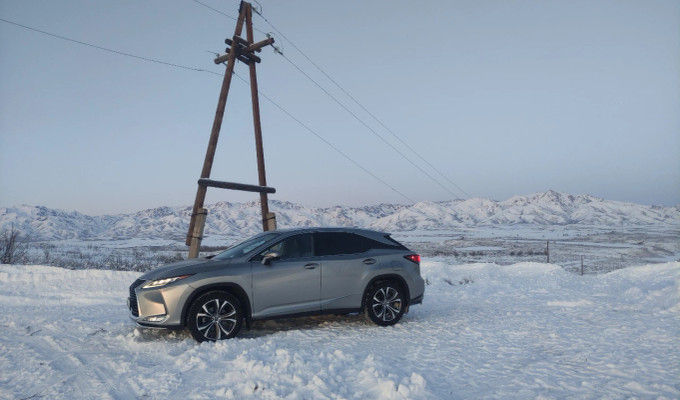 Lexus RX 2020 года