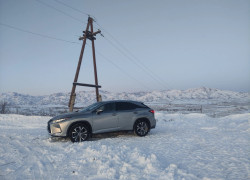 Lexus RX 2020 года