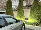 Honda Accord 2003 года