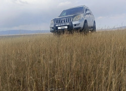 Toyota Land Cruiser Prado 2005 года