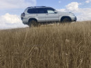 Toyota Land Cruiser Prado 2005 года