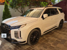 Hyundai Palisade 2024 года