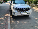 Toyota Land Cruiser Prado 2013 года