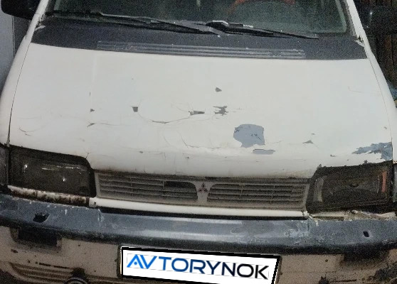 Mitsubishi Space Wagon 1991 года