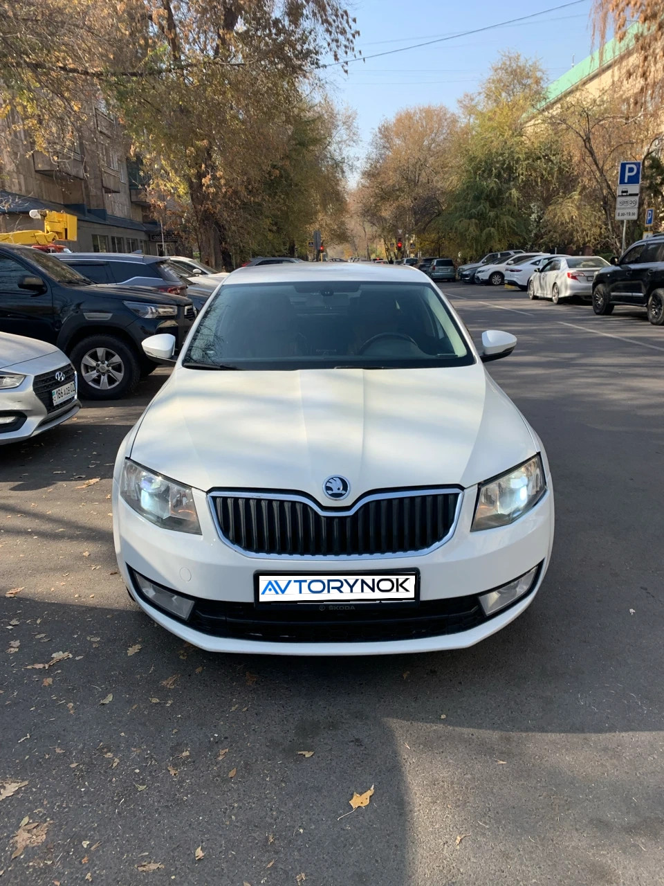 Skoda Octavia, 2013