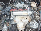 Honda Odyssey 1994 года