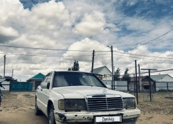 Mercedes-Benz 190 1991 года
