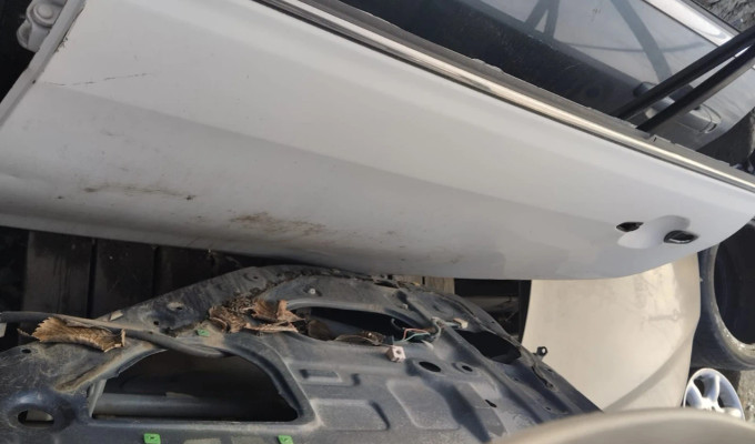 Задняя левая дверь на Toyota Camry 40