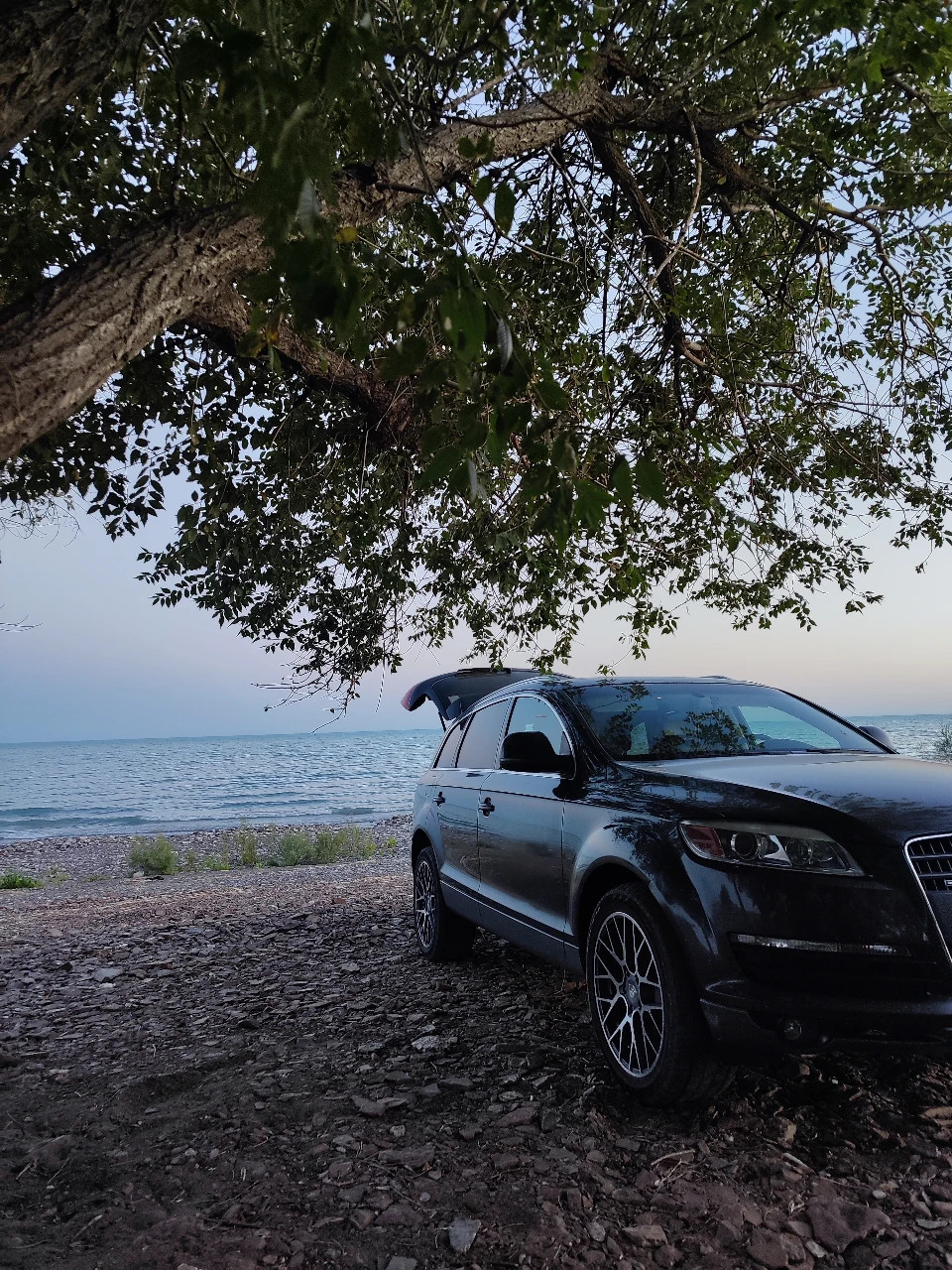 Audi Q7, 2006