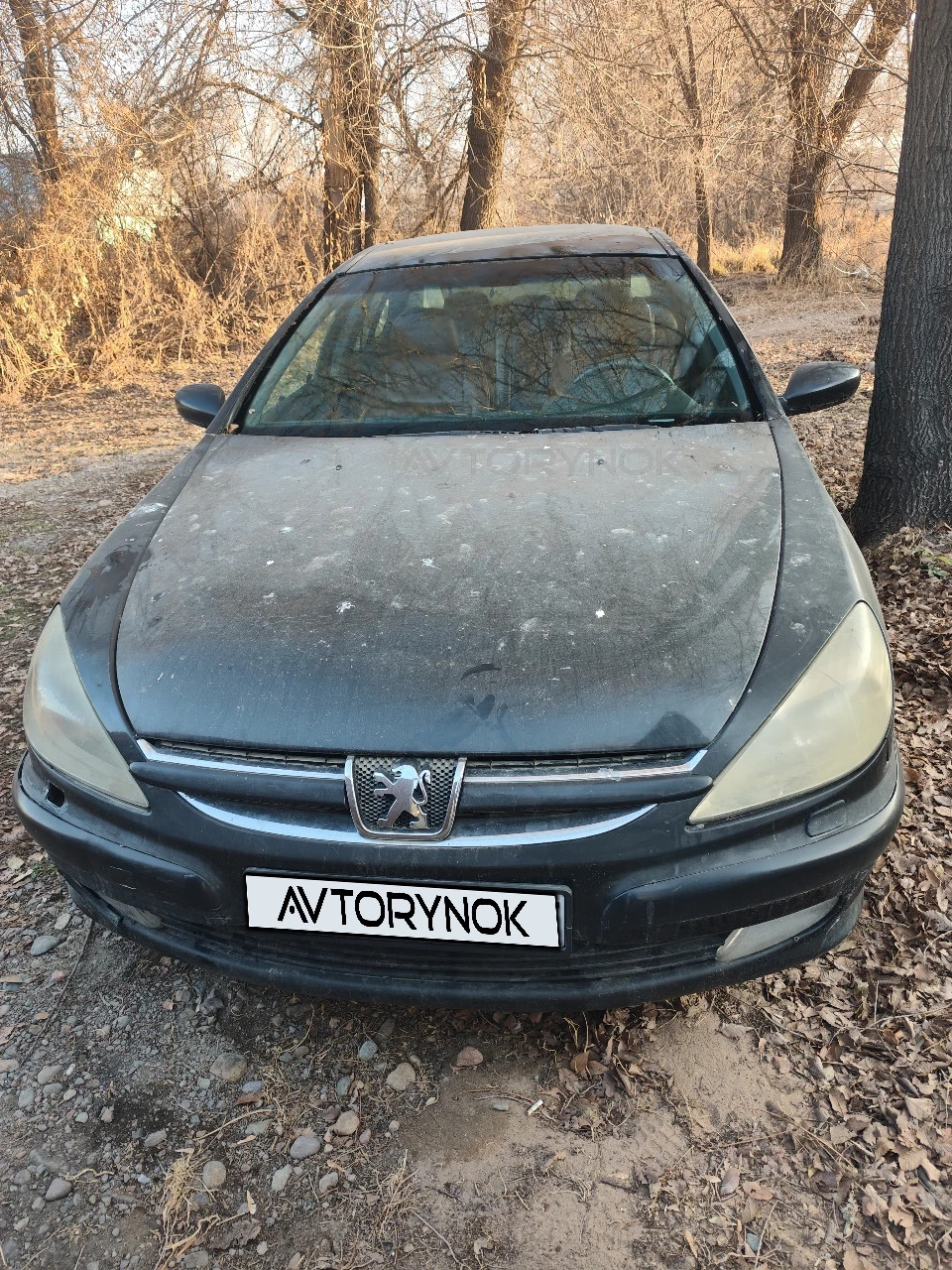 Peugeot 607, 2003