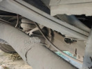 ГАЗ ГАЗель NEXT 2013 года