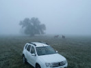 Renault Duster 2013 года