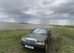 Mercedes-Benz 190 1992 года