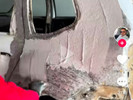 Проверка Авто.ТОЛЩИНОМЕРом+КОМПЬЮТЕРная Диагностика.Автоподбор.с ВЫЕЗД